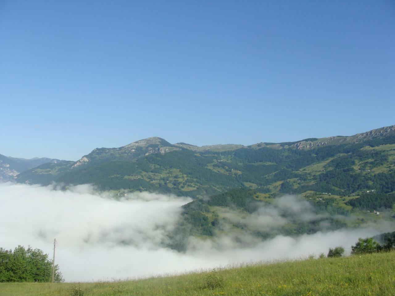 Taramour Cottages. Mojkovac Ngoại thất bức ảnh