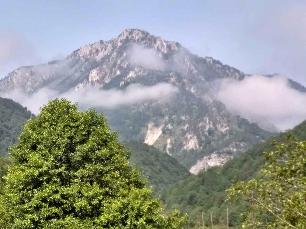 Taramour Cottages. Mojkovac Ngoại thất bức ảnh
