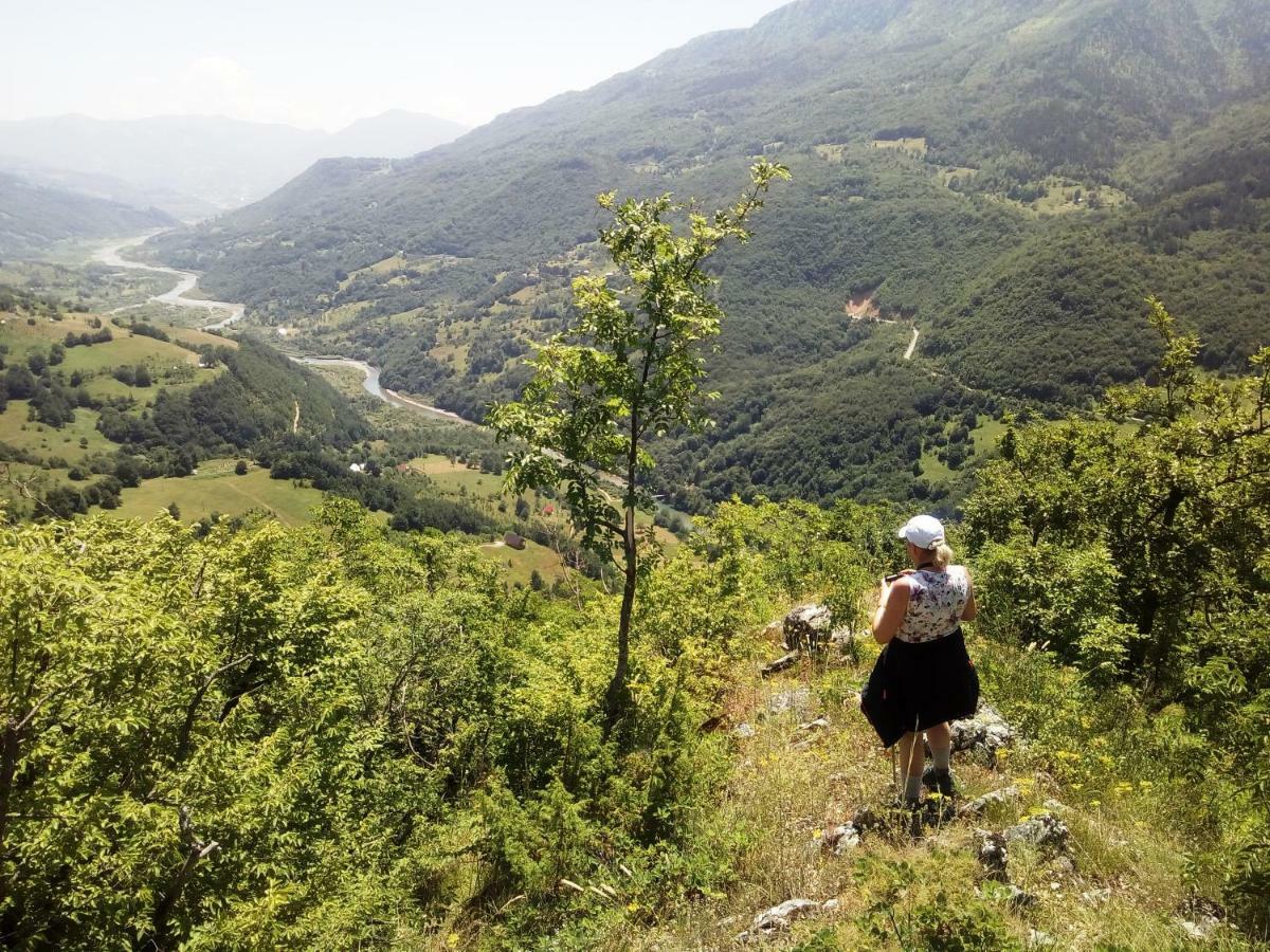Taramour Cottages. Mojkovac Ngoại thất bức ảnh